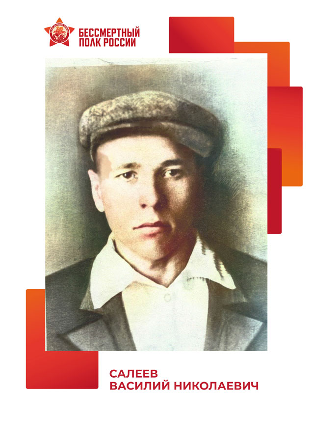 Салеев Василий Николаевич